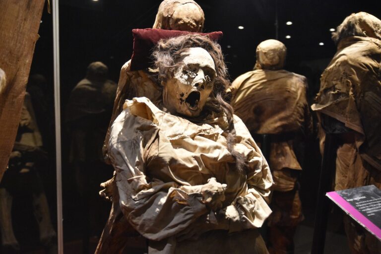 Visitan más de 31 mil personas el Museo de las Momias del 1 al 25 de octubre